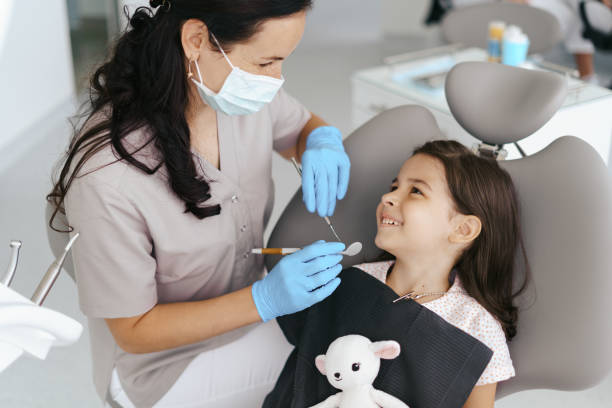 Best Emergency Dental Care for Broken or Chipped Teeth in Carrier Mls, IL